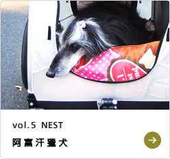 vol.5  NEST アフガン・ハウンド