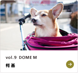 NEW vol.9  DOME M ウェルシュコーギ－