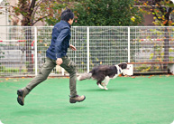 長く大事に使いたい逸品